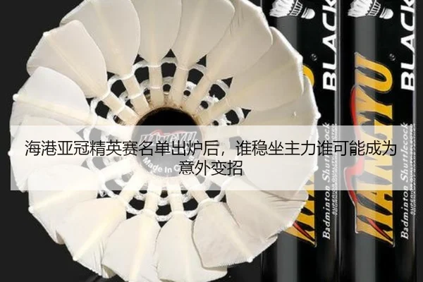 海港亚冠精英赛名单出炉后，谁稳坐主力谁可能成为意外变招